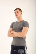 серый фото Мужская футболка E9. 00329 купить в Одессе по оптовым ценам