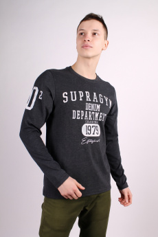 Мужской свитшот 00511 фото Мужские свитшоты оптом Одесса купить от производителя