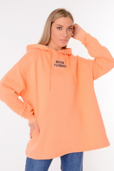 Женская толстовка K9.0488 фото Женский спортивный костюм 00600 купить в Одессе по оптовым ценам