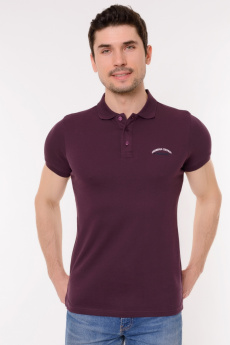 Мужская футболка Polo 900606 фото Мужские футболки Polo оптом Одесса от производителя