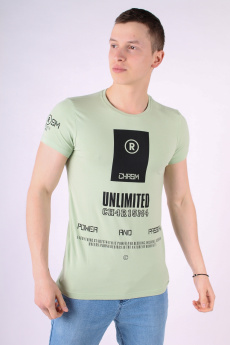 Мужская футболка 1005 фото Мужская одежда оптом купить от производителя по низким ценам Украина | LITTLE SECRET