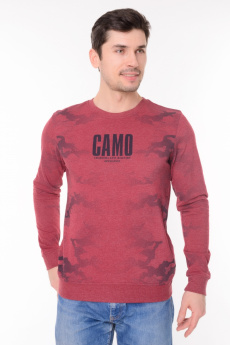 Мужской свитшот 00516 фото Мужские свитшоты оптом Одесса купить от производителя